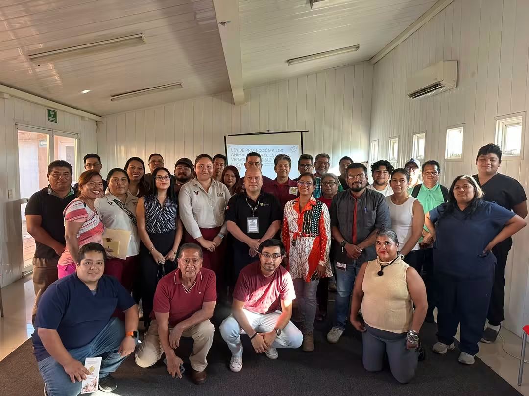 𝗥𝗲𝗰𝗶𝗯𝗲 𝗽𝗲𝗿𝘀𝗼𝗻𝗮𝗹 𝗱𝗲 𝘀𝗮𝗹𝘂𝗱 𝗔𝗻𝗶𝗺𝗮𝗹 𝗱𝗲 𝗩𝗲𝗿𝗮𝗰𝗿𝘂𝘇 𝗰𝗮𝗽𝗮𝗰𝗶𝘁𝗮𝗰𝗶𝗼𝗻 𝗲𝘀𝗽𝗲𝗰𝗶𝗮𝗹𝗶𝘇𝗮𝗱𝗮 𝗱𝗲 𝗙𝗘𝗗𝗔𝗬𝗖𝗔 𝘀𝗼𝗯𝗿𝗲 𝗺𝗮𝗹𝘁𝗿𝗮𝘁𝗼 𝗮𝗻𝗶𝗺𝗮𝗹